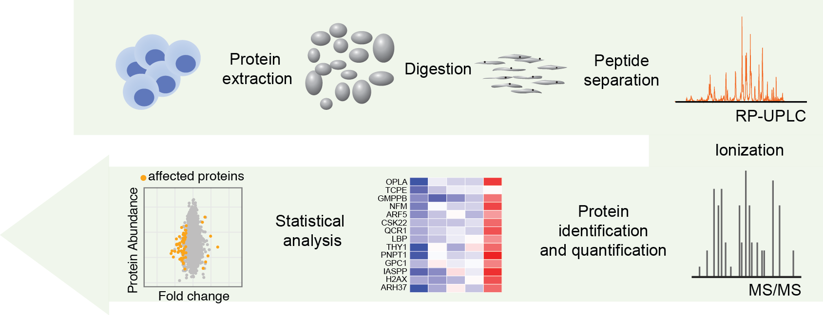 download optimizing physical performance during fasting and dietary restriction implications for athletes