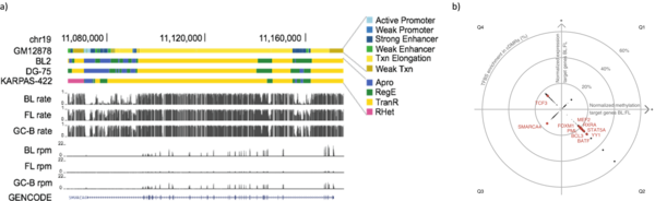 Several data layers for the SMARCA4 gene