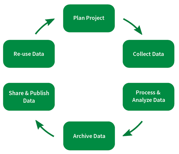 research data life cycle