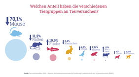 Verwendete Tierarten (Quelle: Tierversuche verstehen).