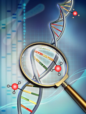 FLI: DNA-Methylierung