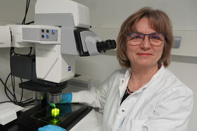 Portrait of Dr. Birgit Perner (Photo: FLI)