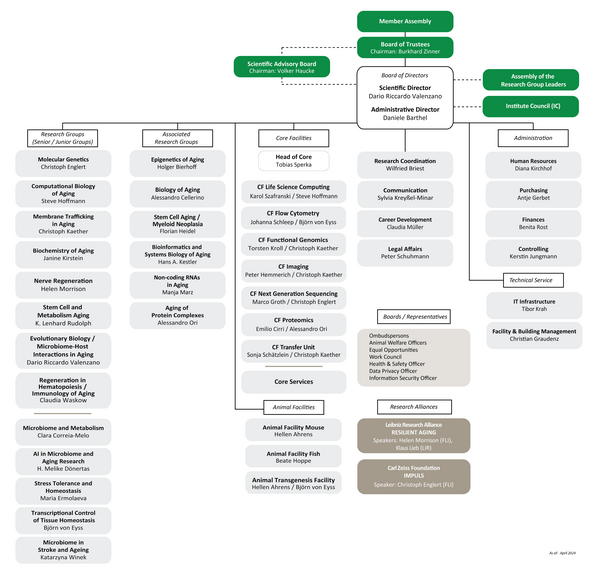 Organizational Chart of FLI