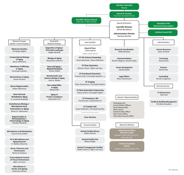 Organizational Chart of FLI