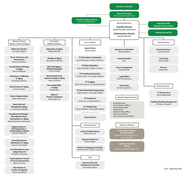 Organizational Chart of FLI
