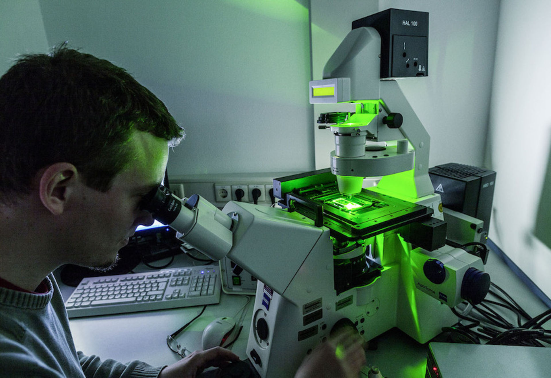 FLI: Fluoroscence Microscopy
