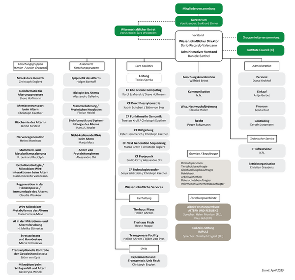Organigramm des FLI 