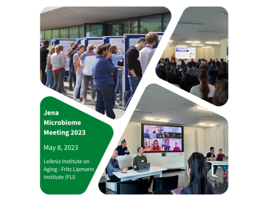 Impressions of the meeting