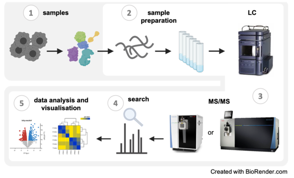 FLI: Proteomics workflow