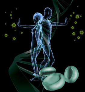 (Figure: FLI/K. Wagner; Source: Fotolia, Panthermedia)