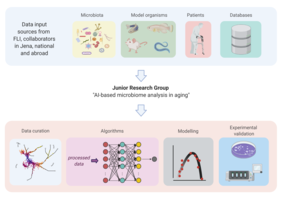 Overview of the scientific concept for the Junior Research Group.