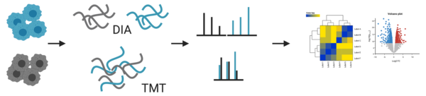 FLI: Proteomics workflow