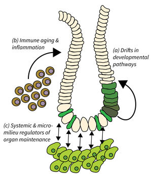 Research focus of Subarea 2. 