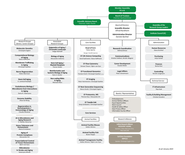 Organizational Chart of FLI