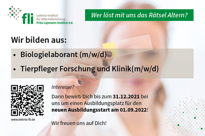 Anzeige Ausbildung 2021 Anzeige Ausbildung 2021