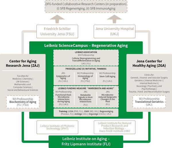 Regional Embedding