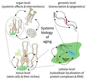 Research focus of Subarea 5. 