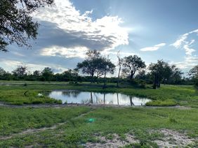 A seasonal water pond in Gonarezhou National Park.