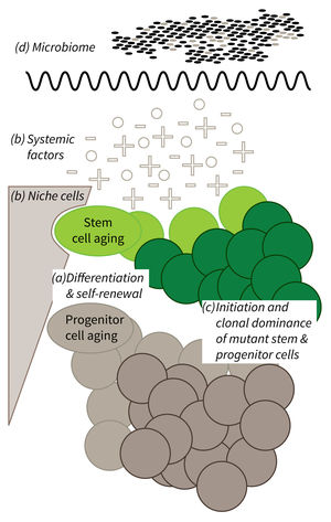 Research focus of Subarea 1. 