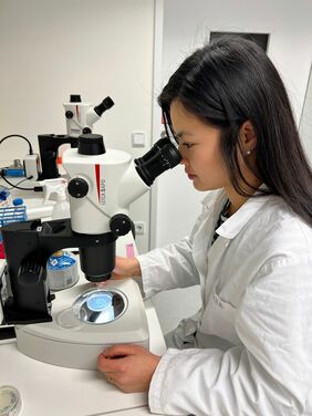 Priscila Yumi Tanaka Shibao at the microscope (Photo: FLI)