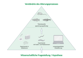 Systematische Planung wissenschaftlicher Experimente am FLI 