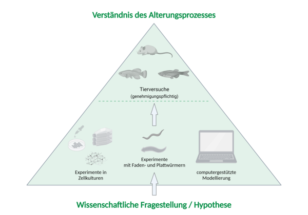 Systematische Planung wissenschaftlicher Experimente am FLI