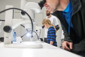 Planarian under the Microscope (Photo: FLI/Thomas Müller)