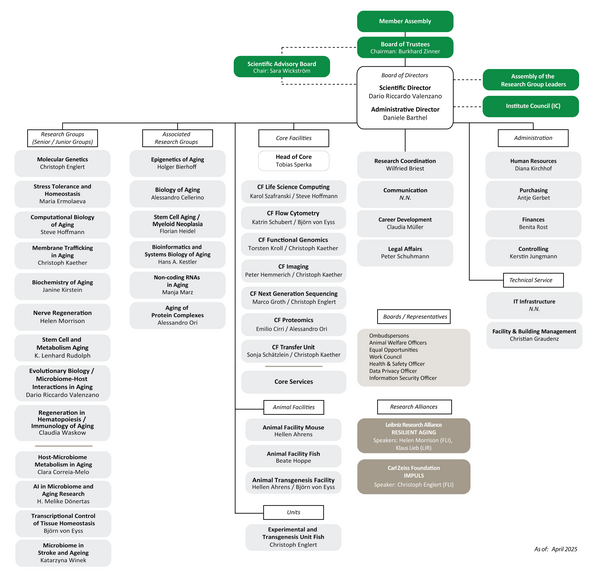 Organizational Chart of FLI