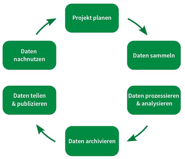 Lebenszyklus von Forschungsdaten