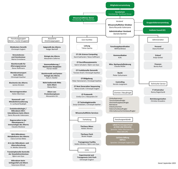 Organigramm des FLI