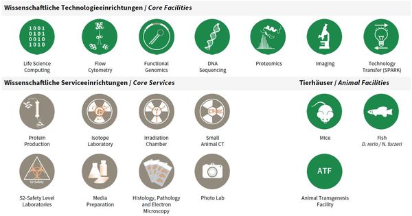 [Translate to deutsch:] Overview Core Facilities & Services