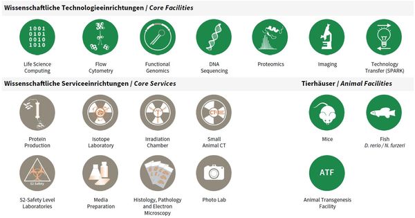 Overview Core Facilities & Services