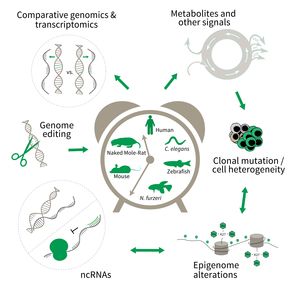 Research focus of Subarea 3. 