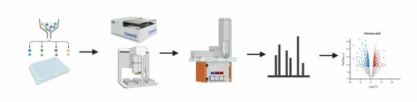 Proteomics workflow