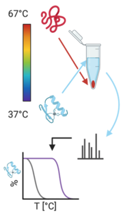 FLI: Proteomics workflow