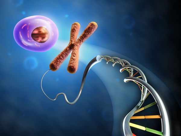 Code of life: DNA structured as a double helix