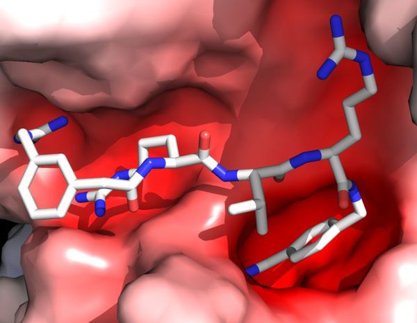 Inhibitor MI-0052/I1  