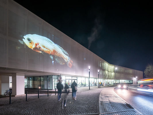 Facade projection, picture by Thomas Müller