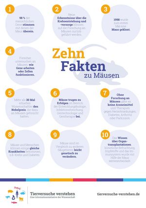 10 Fakten zur Maus