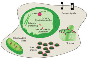 Research focus of Subarea 4. 