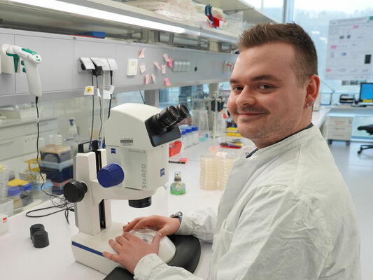 Der Biologielaborant Erik Hüttenrauch untersucht Fadenwürmer (C. elegans) am Mikroskop. (Foto: FLI)