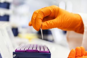 Forschung im Labor Forschung im Labor