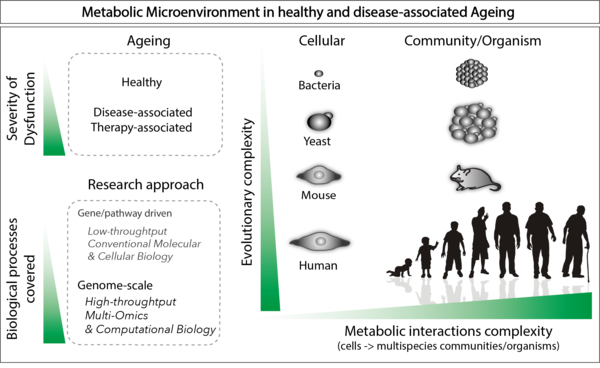 Metabolic Microenvironment in healthy and disease-associated Ageing