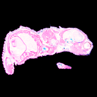 Schnitt 10