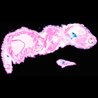Schnitt 6