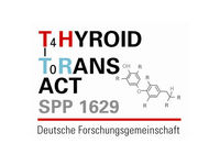 Thyroid Trans Act Logo